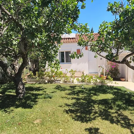 Top Hill Gardens- Jacuzzi-7M From Airport Dom wakacyjny Koropi